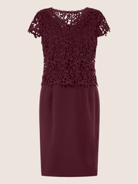 APART Kurzes Etuikleid mit Häkelspitzen-Overlay | weinrot
