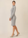 APART Rippenstrickkleid mit Rollkragen | graumeliert