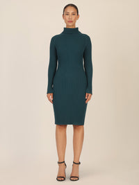 APART Rippenstrickkleid mit Rollkragen | dunkelgrün