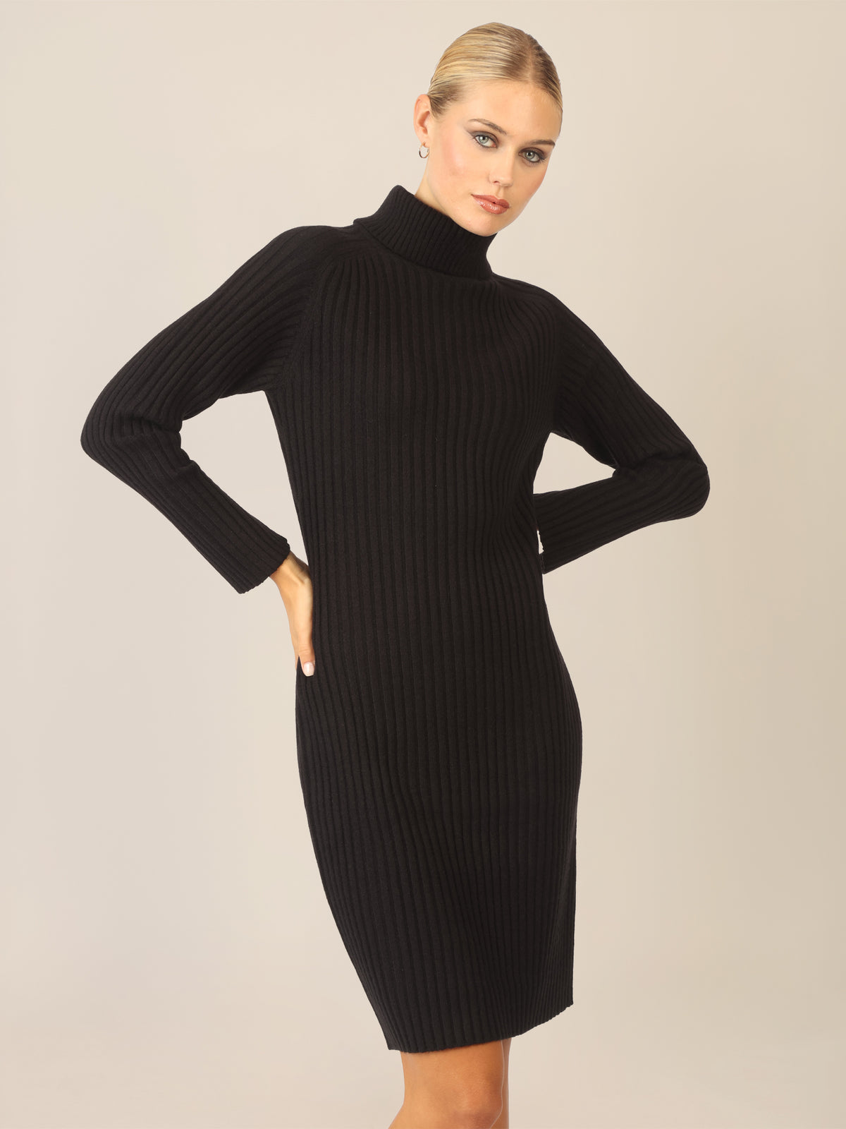 APART Rippenstrickkleid mit Rollkragen | schwarz