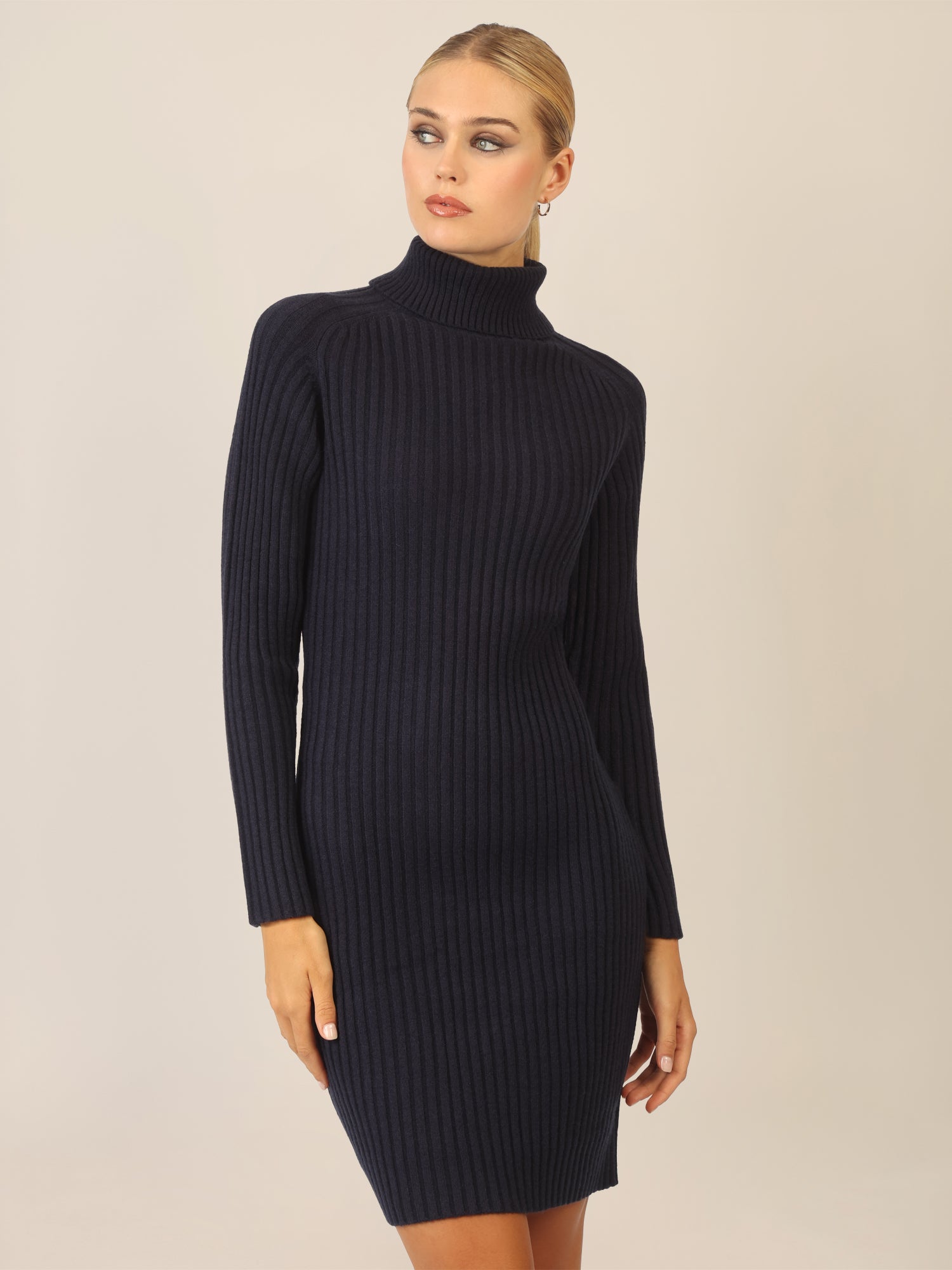 APART Rippenstrickkleid mit Rollkragen | nachtblau