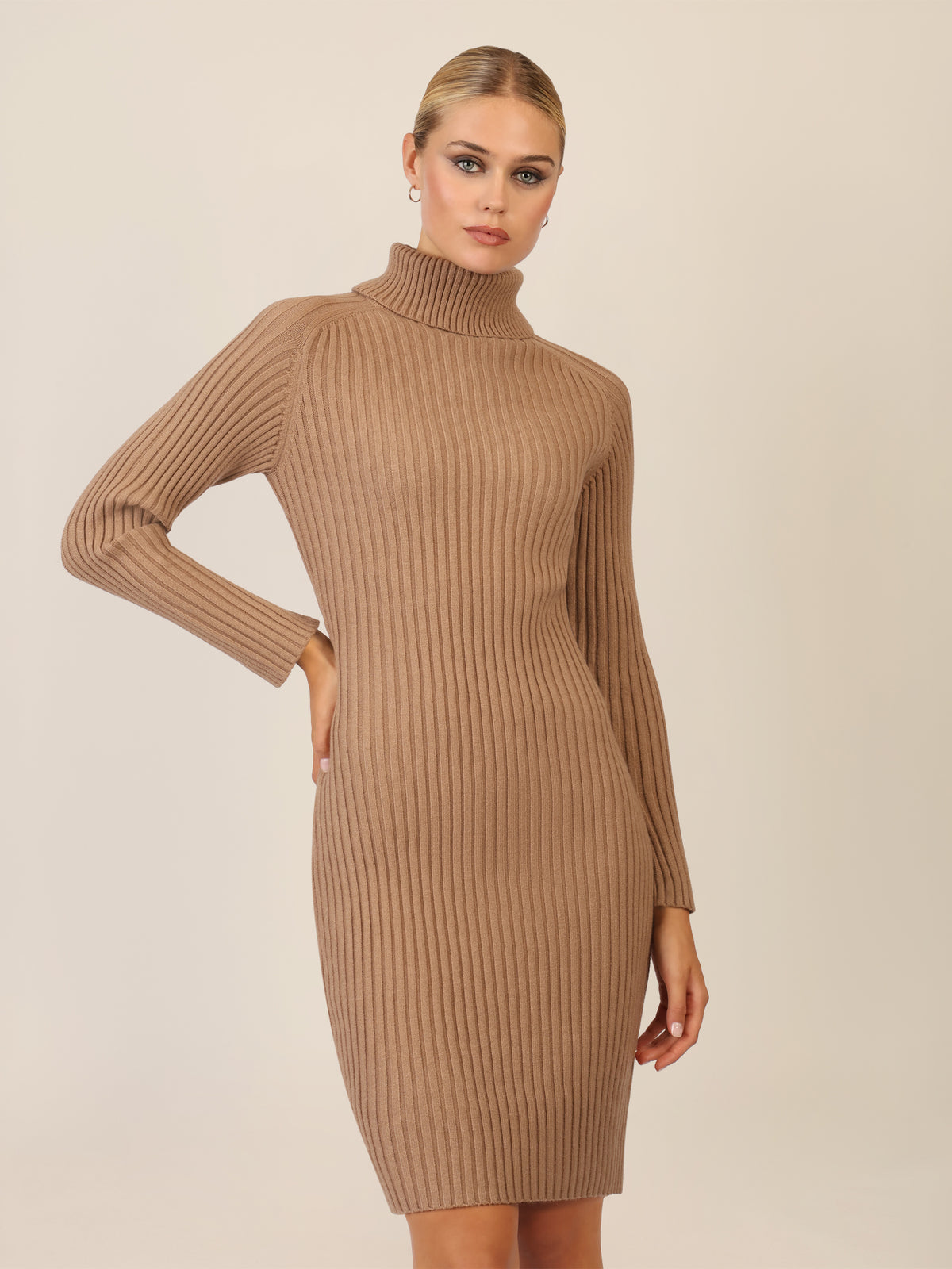 APART Rippenstrickkleid mit Rollkragen | camel