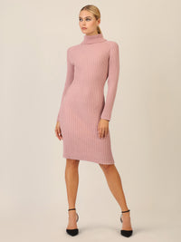 APART Rippenstrickkleid mit Rollkragen | mauve