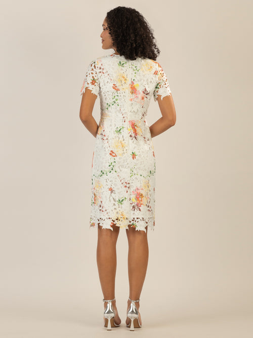 APART Spitzenkleid aus Spitze, allover bedruckt | creme-multicolor image 1