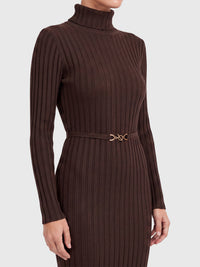 Rippenstrickkleid mit Rollkragen und Strickgürtel | braun