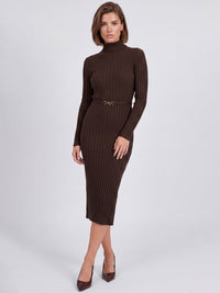 Rippenstrickkleid mit Rollkragen und Strickgürtel | braun