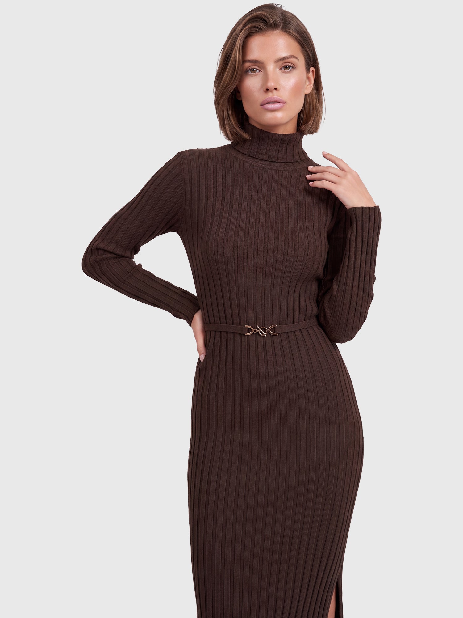 Rippenstrickkleid mit Rollkragen und Strickgürtel | braun