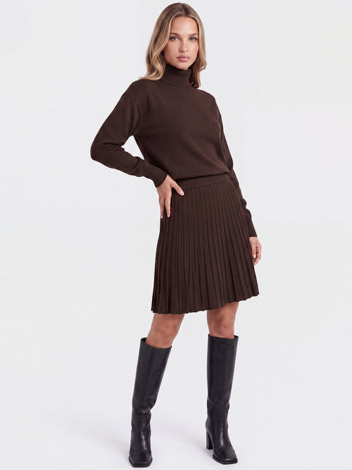 2-in-1 Strickkleid mit Rollkragen und Faltenrock | braun image 1
